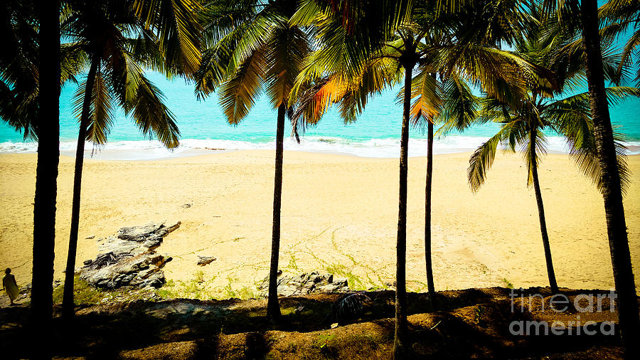 Tropical landscape with palm trees and ocean Artmif Photograph by ...