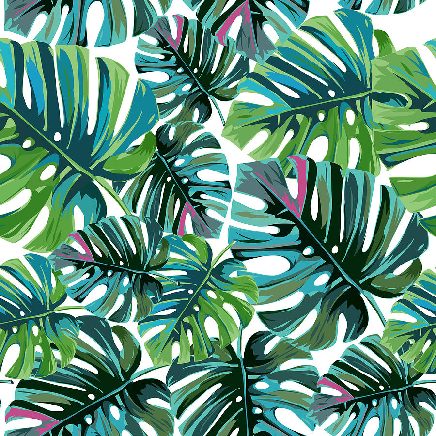 Tropical Leaf P1 Digital Art by Mcaussieb