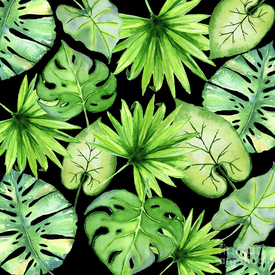 Tropical Leaves On Black Digital Art by Sylvia Cook