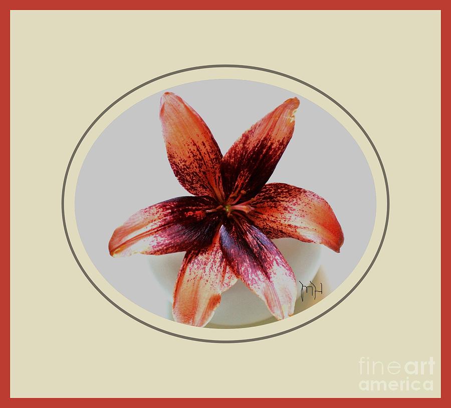 Digital Photograph - Tropical Lily by Marsha Heiken