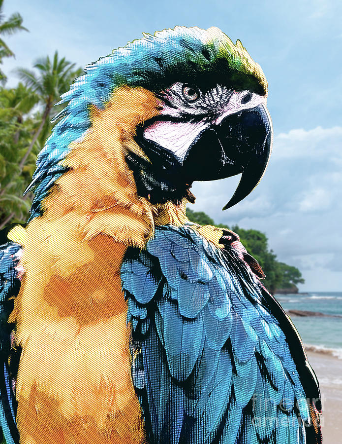Tropical Macaw Parrot Digital Art by Phil Perkins