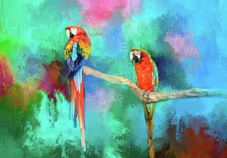 Tropical Macaws Photograph by Lynn Bauer