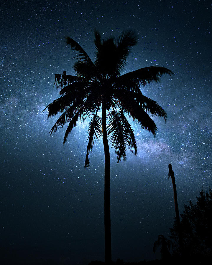 Tropical Milky Way Photograph by Mark Andrew Thomas