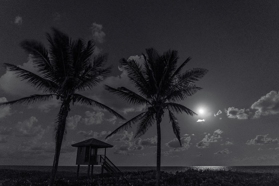 Tropical Moon Delray Beach Florida Photograph by Lawrence S Richardson Jr
