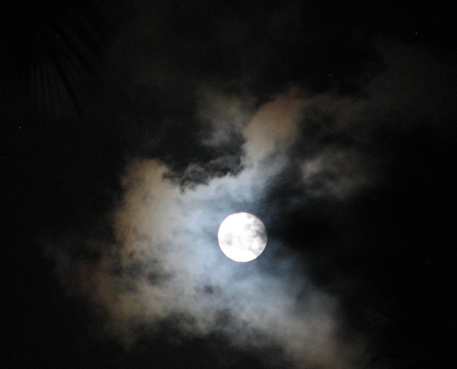 Tropical Moon  Photograph by Diane Height