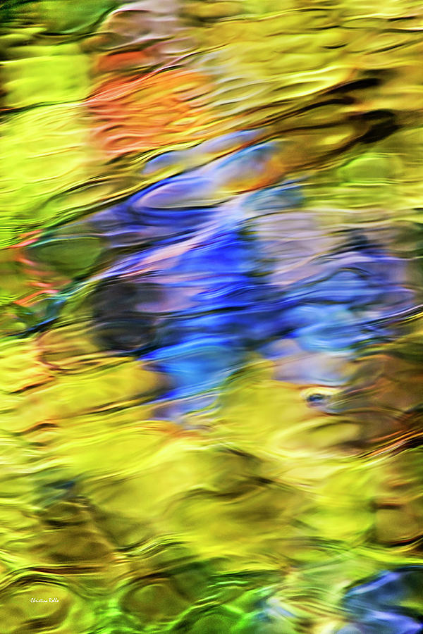 Tropical Mosaic Abstract Art Photograph by Christina Rollo
