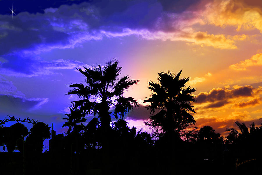 Tropical Nightfall Photograph by Frances Miller