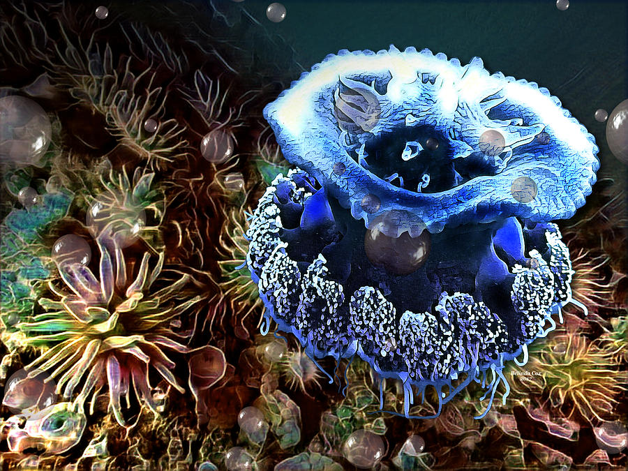 Tropical Ocean Jellyfish  Digital Art by Artful Oasis