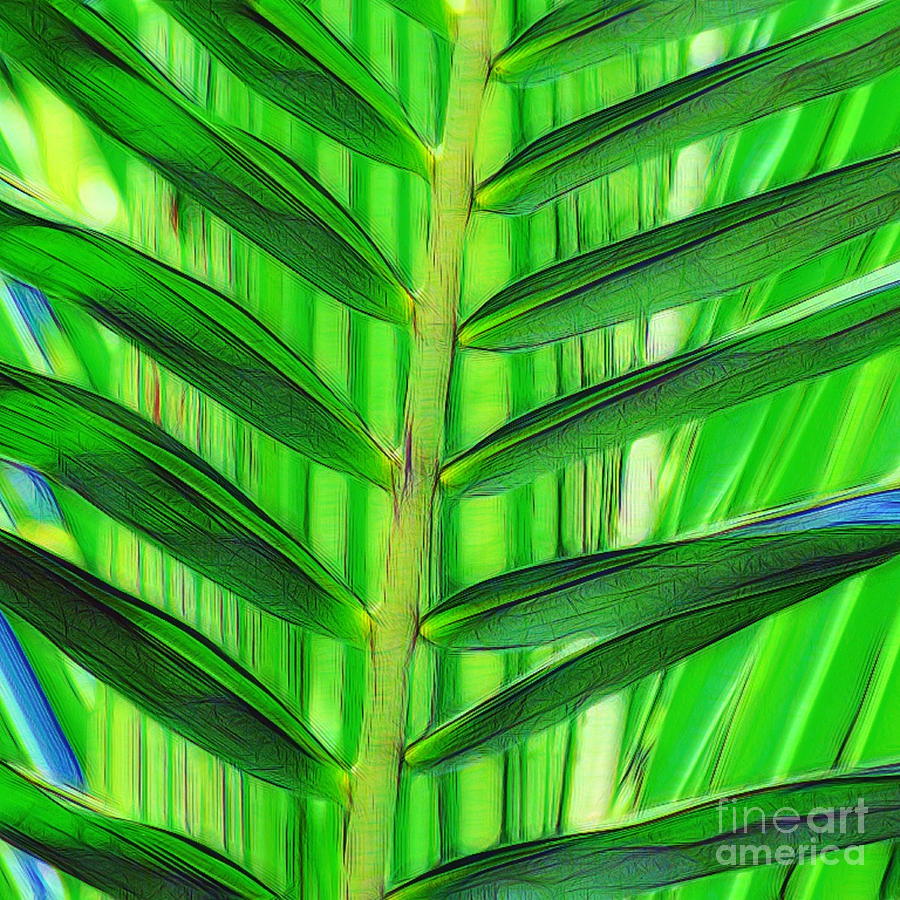 Tropical Palm Art Photograph by Scott Cameron