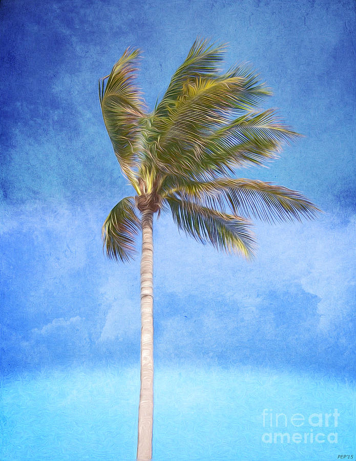 Tropical Palm Tree Digital Art by Phil Perkins