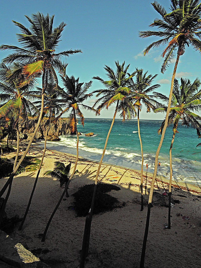 Beach Photograph - Tropical Paradise 2 by Guy Roberts