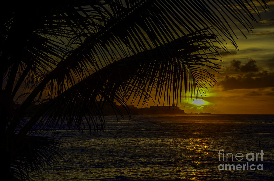 Sunset Photograph - Tropical Paradise by Amanda Sinco
