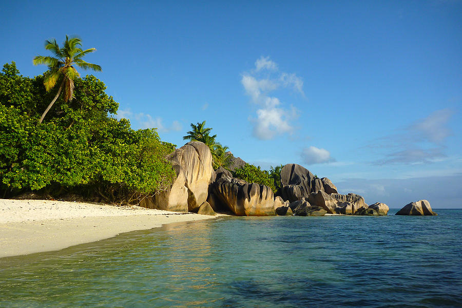 Tropical Paradise Photograph by Balazs Farago - Fine Art America