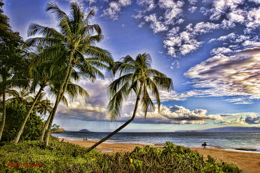 Tropical Paradise Photograph by Blake Richards
