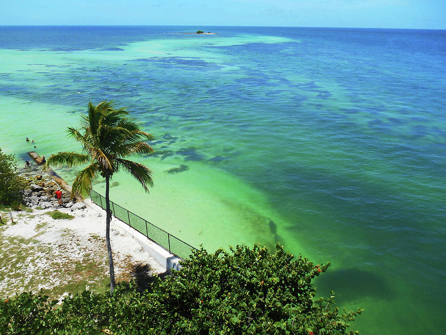 Tropical Paradise Florida Keys Photograph By Irina Sztukowski - Pixels