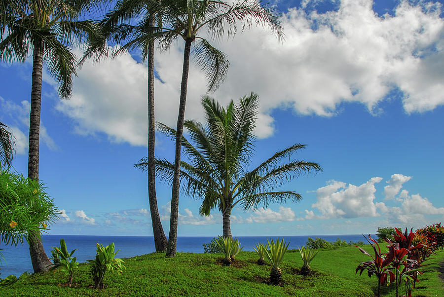 Tropical Paradise in Kauai Photograph by Lynn Bauer
