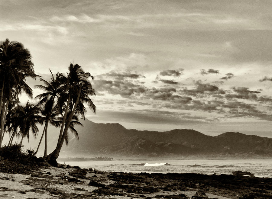 Tropical Paradise Photograph