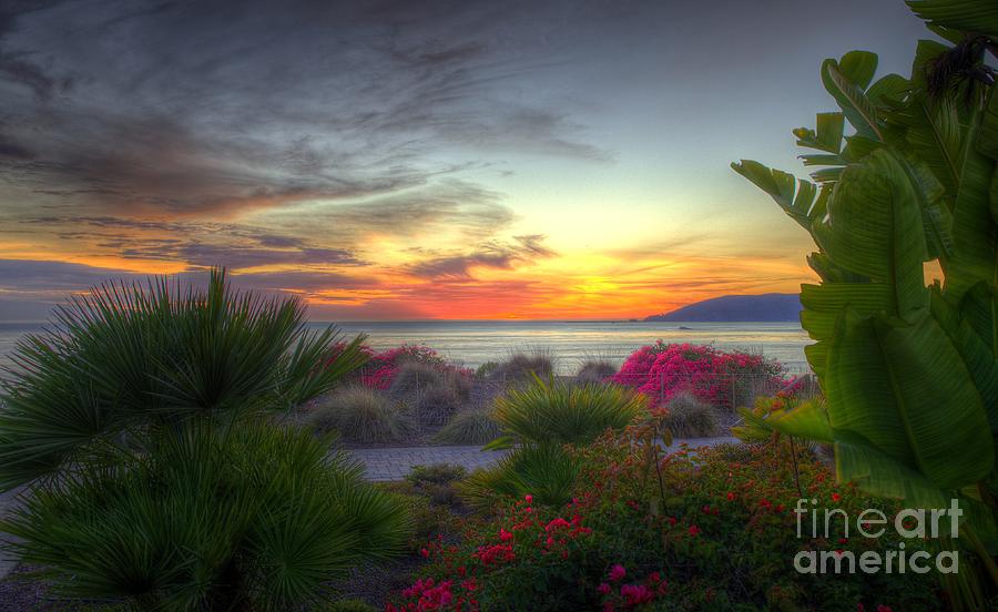 Tropical Paradise Sunset Photograph by Mathias 