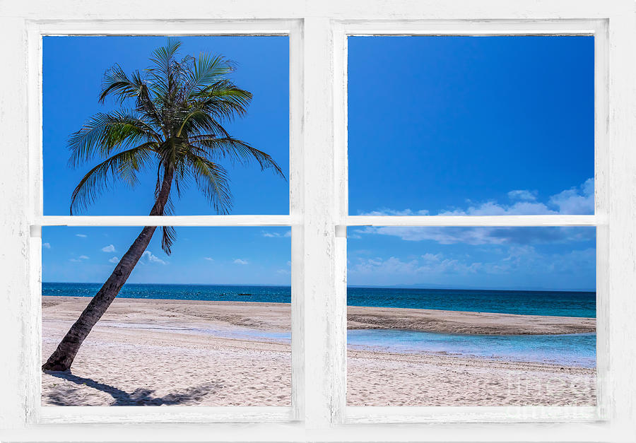 Tropical Paradise Whitewash Picture Window View Photograph