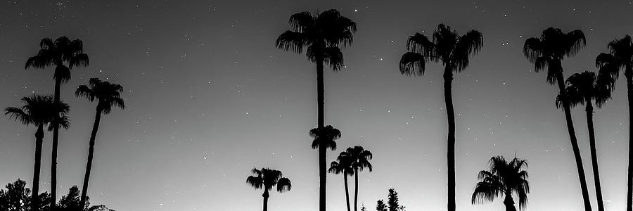 Tropical Peaceful Starry Night Panorama In Black And White Photograph