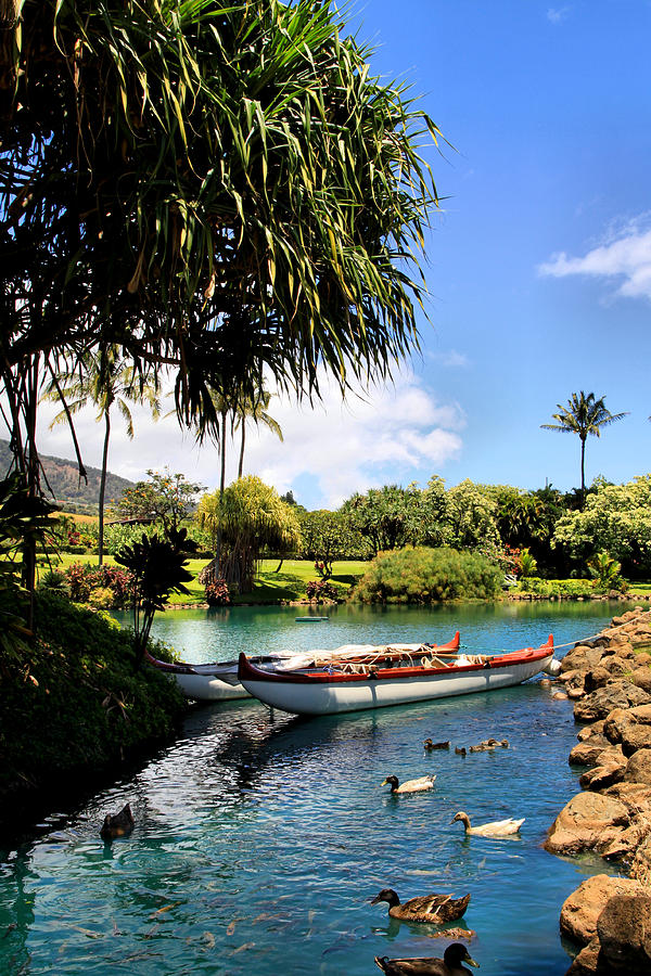 Tropical Plantation - Maui Photograph by DJ Florek
