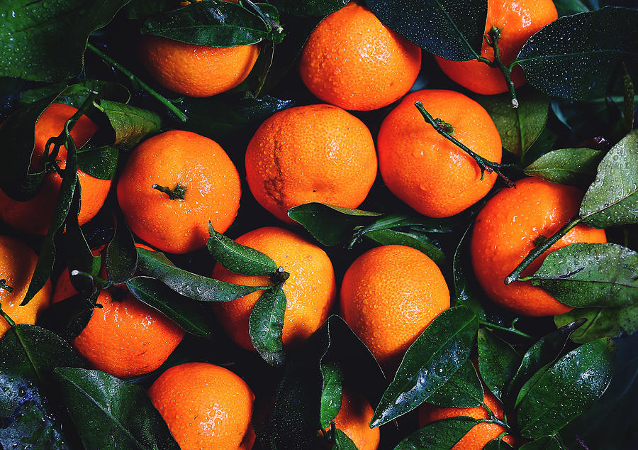 Fruit Photograph - Tropical Poncan Oranges by Cross Version