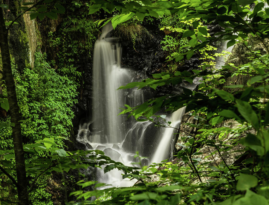 Tropical Rainforest In New England, Greystone Waterfall Plymouth, Connecticut Usa Photograph