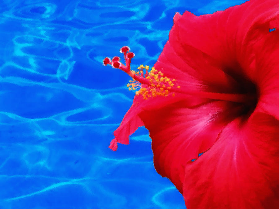Tropical Red Hibiscus - Brush Strokes Photograph by MTBobbins Photography