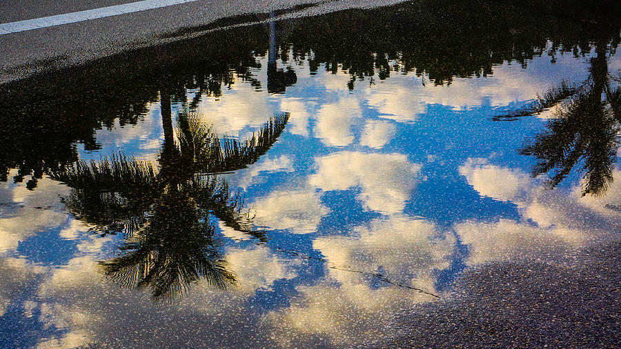 Tropical Reflections Delray Beach Photograph by Lawrence S Richardson Jr