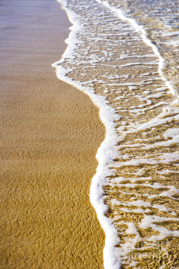 Tropical Sandy Beach Photograph by Dana Edmunds - Printscapes
