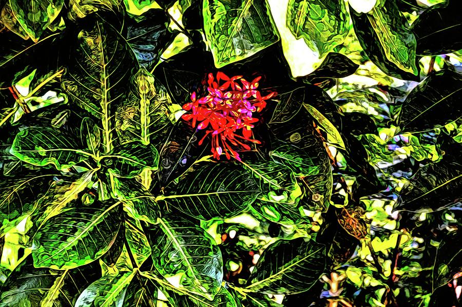 Tropical Scene 24 by Kristalin Davis Photograph by Kristalin Davis