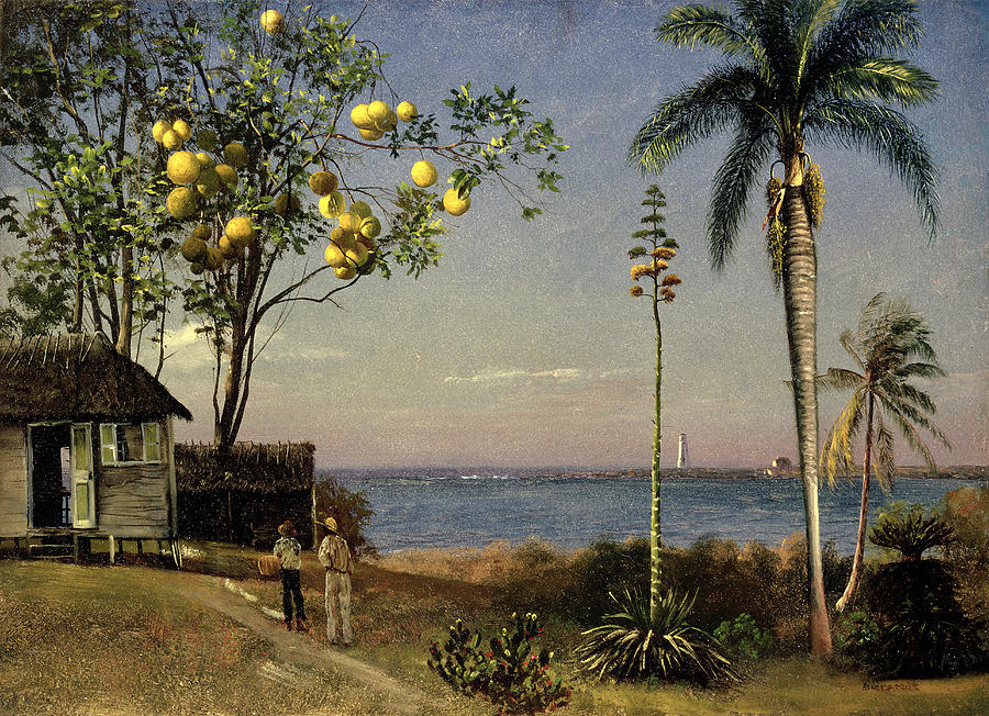 Tree Painting - Tropical Scene by Albert Bierstadt