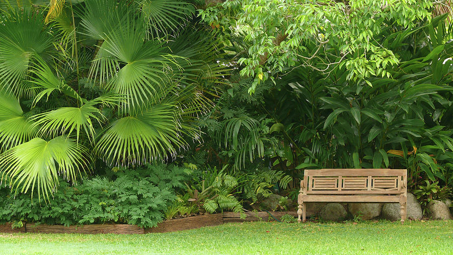Tropical Photograph - Tropical Seat by Evelyn Tambour
