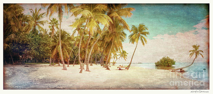 Tropical Shore Tinted Photograph by Linda Olsen