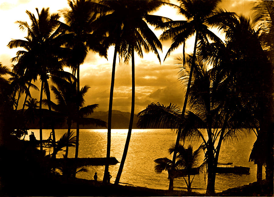 Tropical Silhouettes Photograph by Susan Eileen Evans