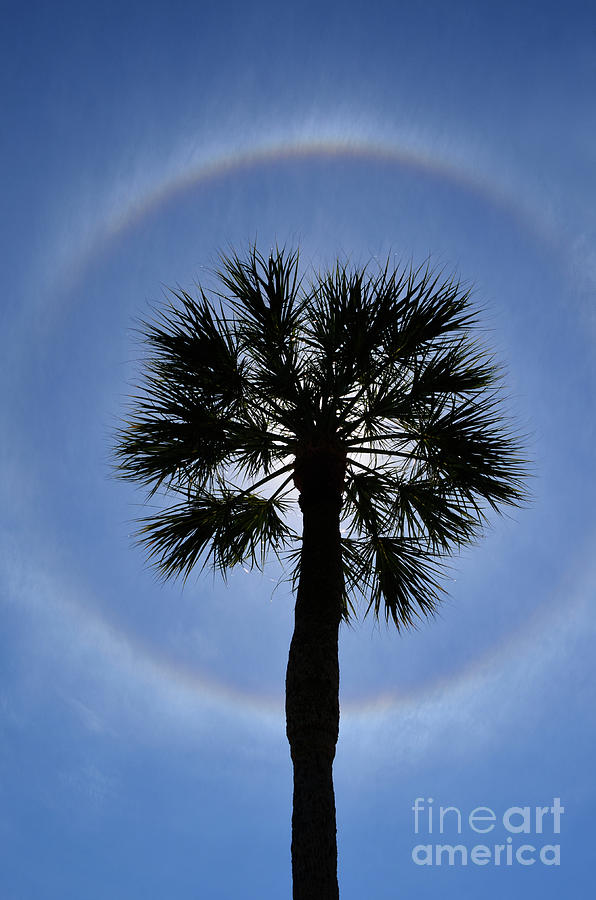 Tropical Solar Halo Photograph by Ron Long