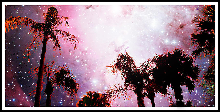 Tropical Starry Night with Palm Tree Silhouettes Photograph by A Macarthur Gurmankin