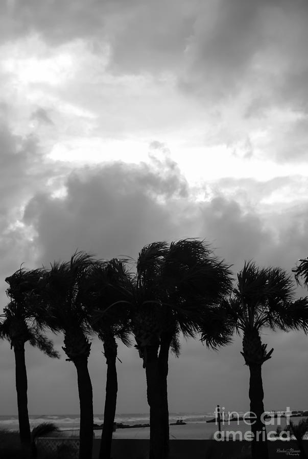 Tropical Stormy Skies Grayscale Photograph by Jennifer White