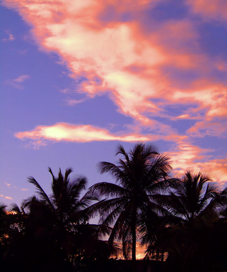 Tropical Sunrise Photograph by Newwwman