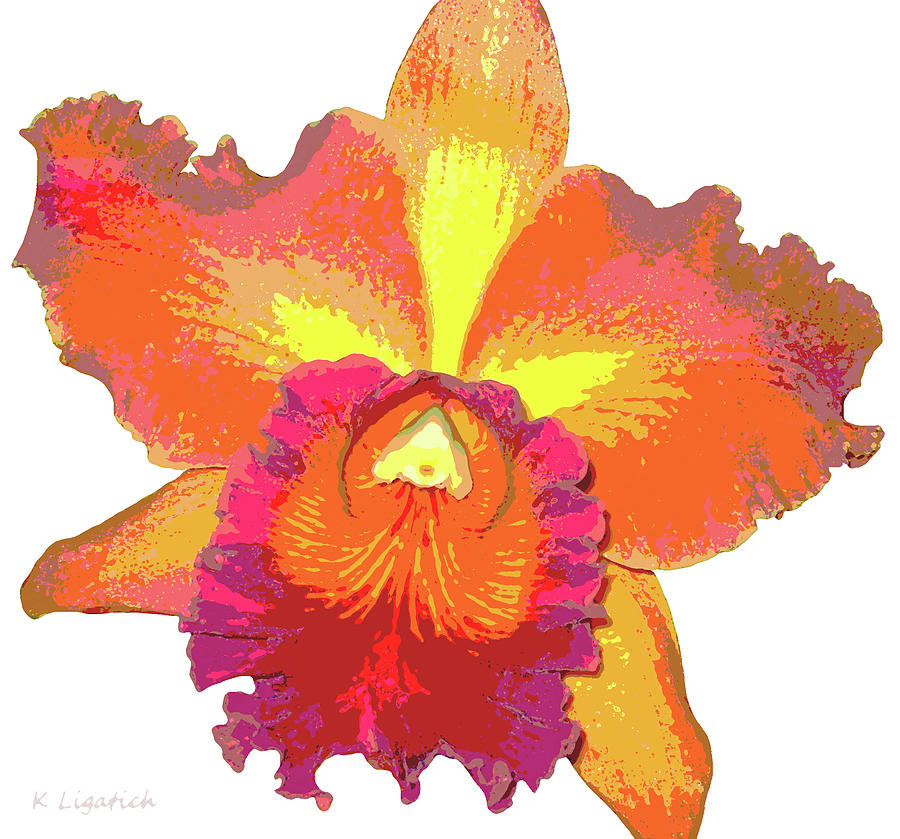 Orchid Photograph - Tropical Sunrise Orchid by Kerri Ligatich