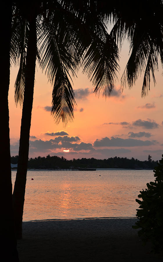 Tropical Sunset Photograph by Corinne Rhode