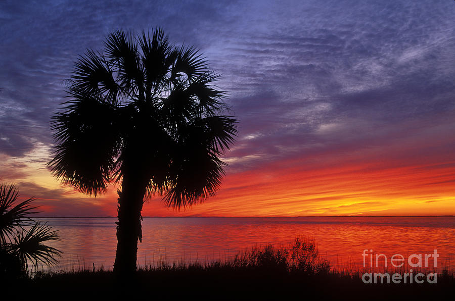 Sunset Photograph - Tropical Sunset - FS000214 by Daniel Dempster