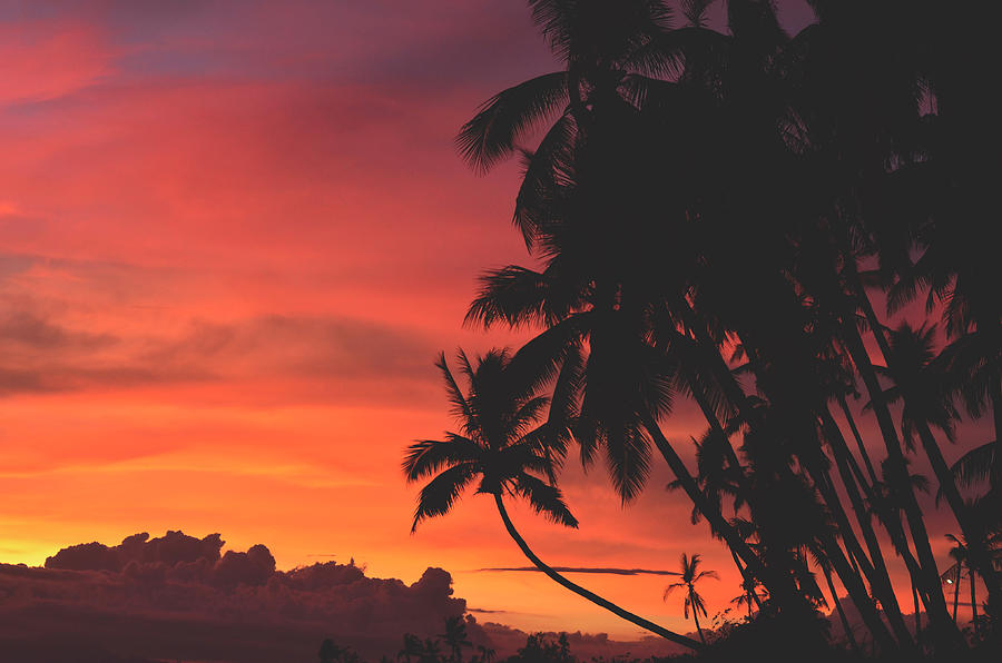 Sunset Photograph - Tropical Sunset by Happy Home Artistry