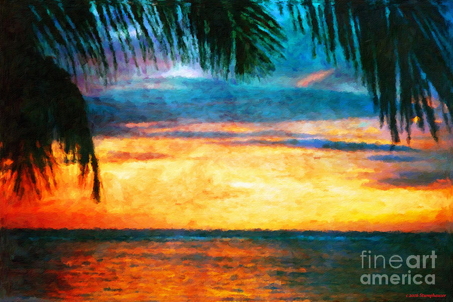 Sunset Photograph - Tropical Sunset by Jerome Stumphauzer