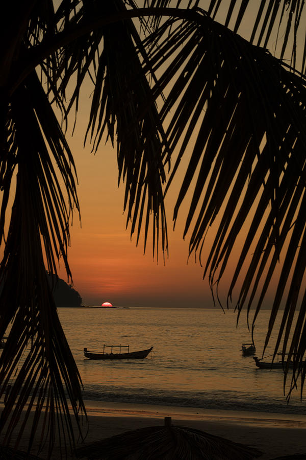 Tropical Sunset Photograph by Joshua Van Lare