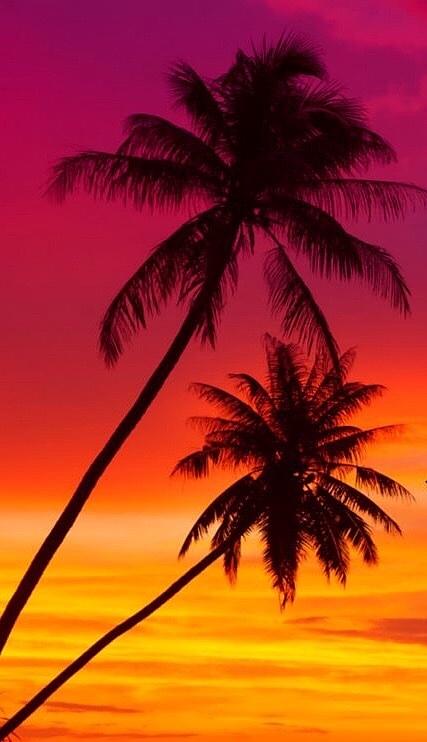 Tropical Sunset Painting by Julie Heuer - Fine Art America