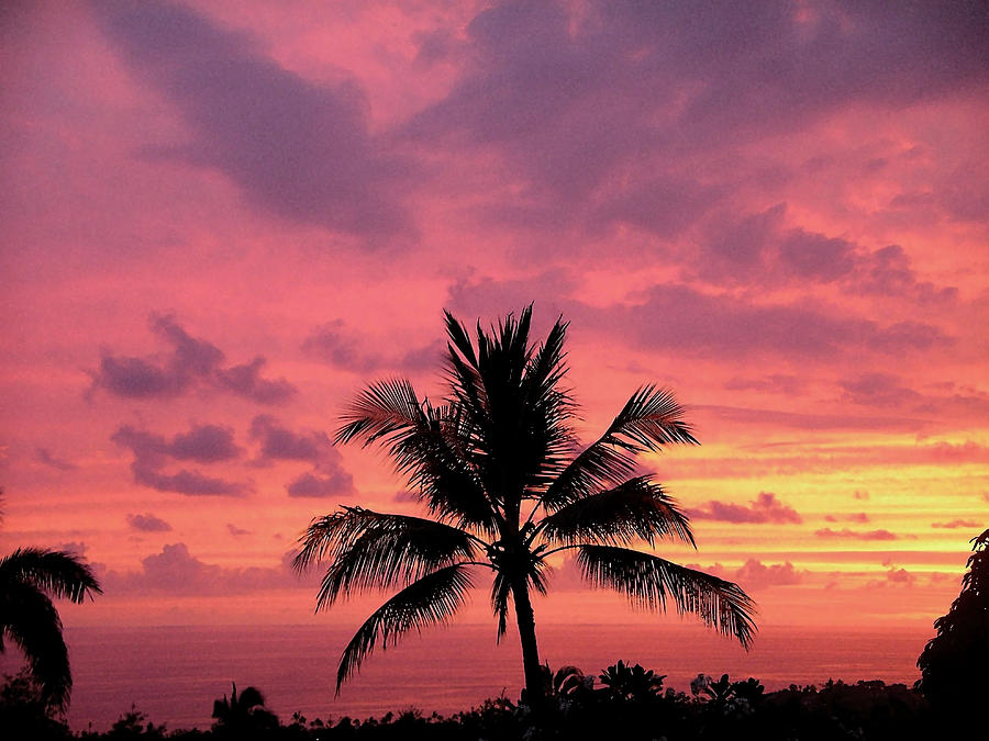 Tropical Sunset Photograph by Karen Nicholson