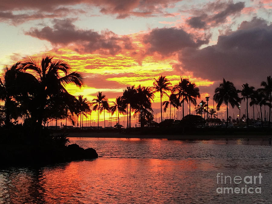 Tropical Sunset Photograph by Kimberly Blom-Roemer