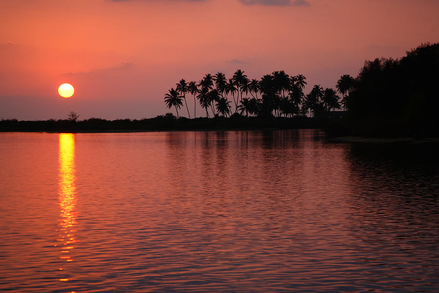 Nature Photograph - Tropical Sunset by Nila Newsom