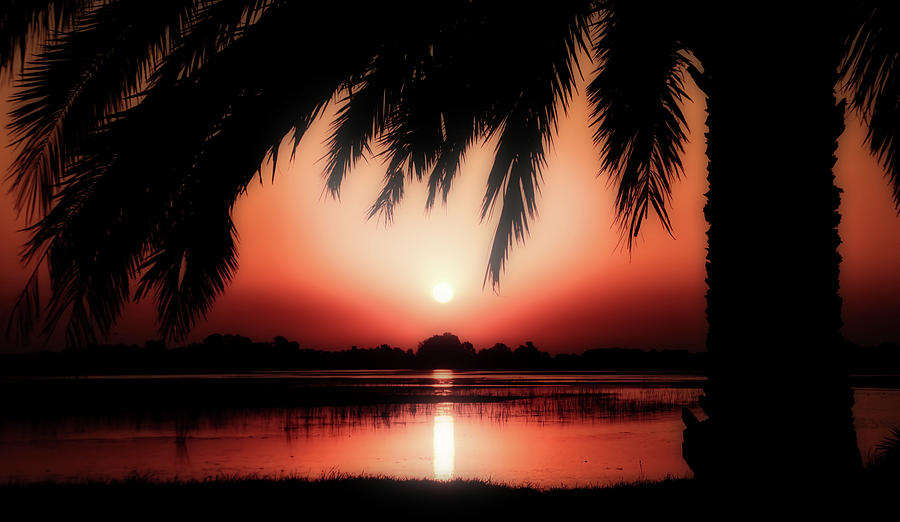 Tropical Sunset Photograph by Mountain Dreams